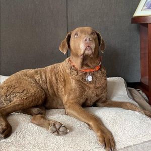 Meet your Posher, Michelle